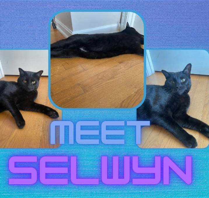 Photo of Selwyn