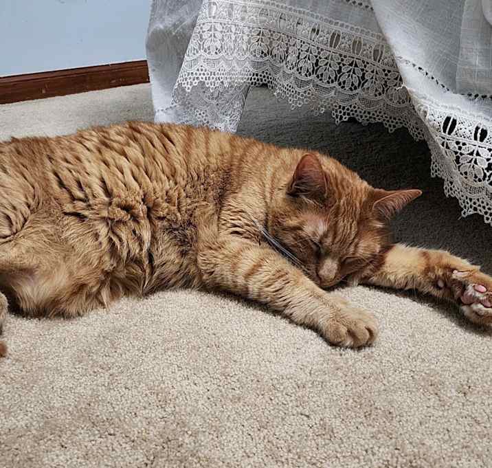 Photo of Cash