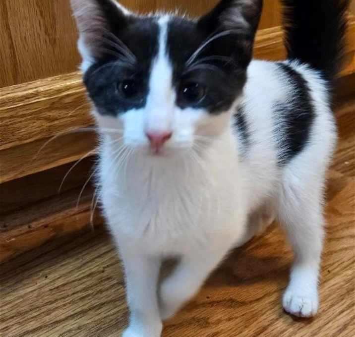 Photo of A TootyTa
