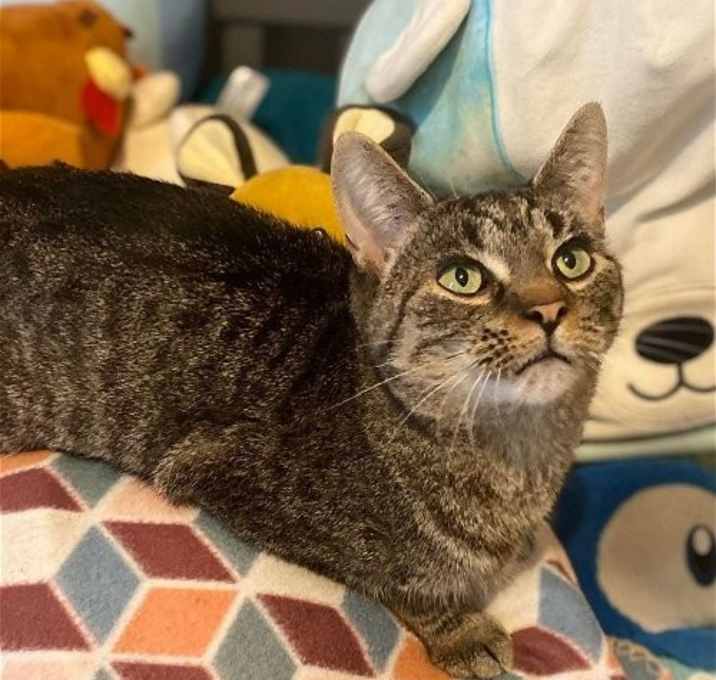 Photo of Winnie