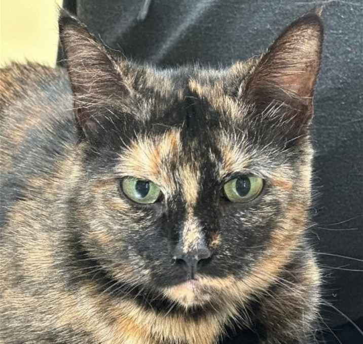 Photo of Miss Vickie