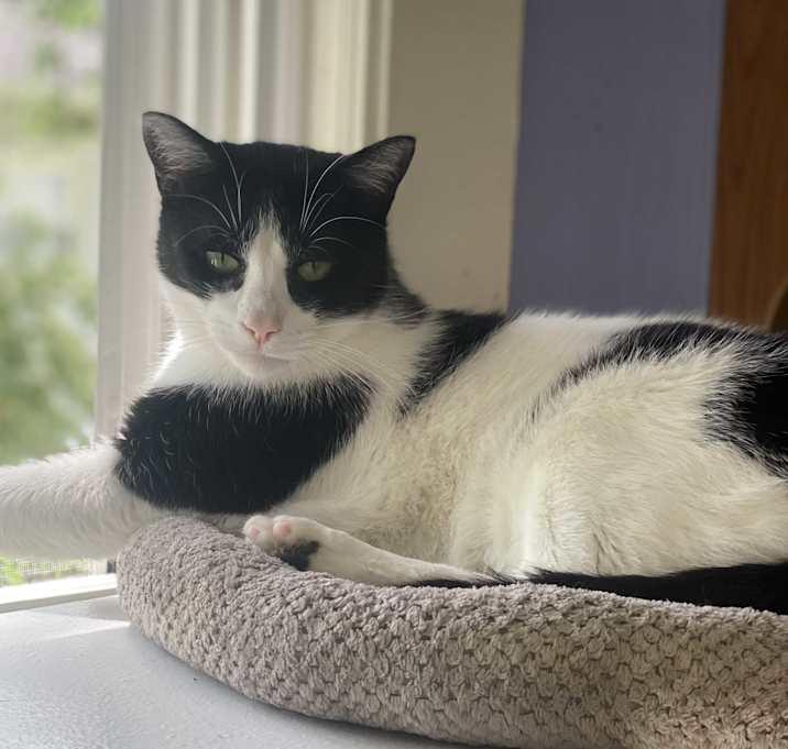 Photo of BEANS