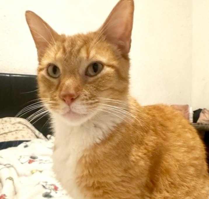 Photo of Carmelo