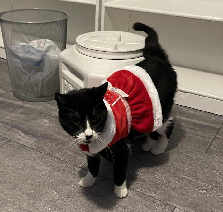 Photo of Lucy