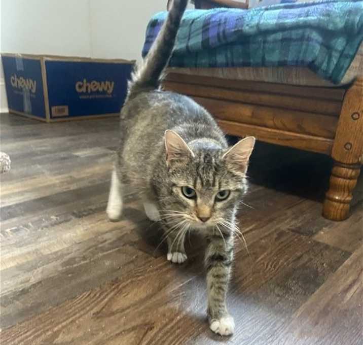 Photo of Bootsie