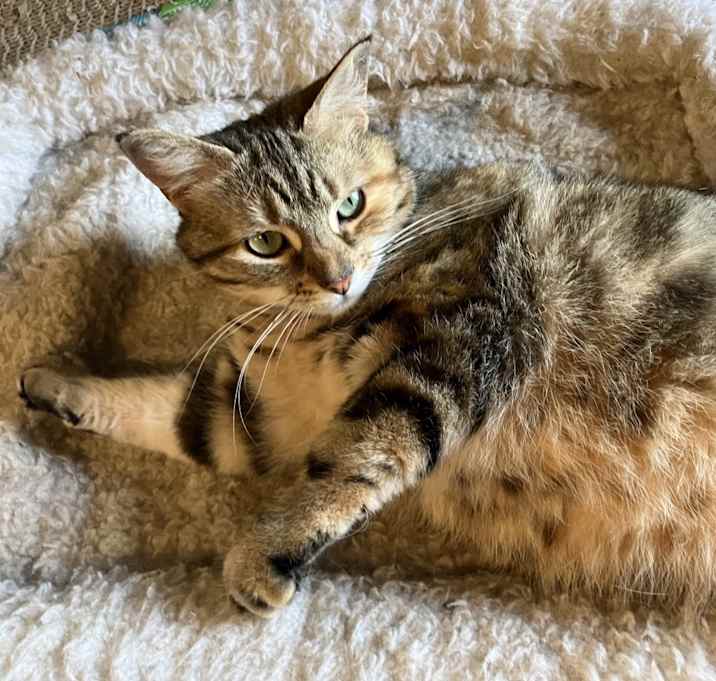 Photo of Tiny
