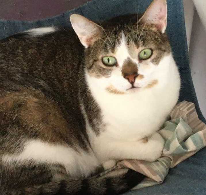 Photo of Lucy