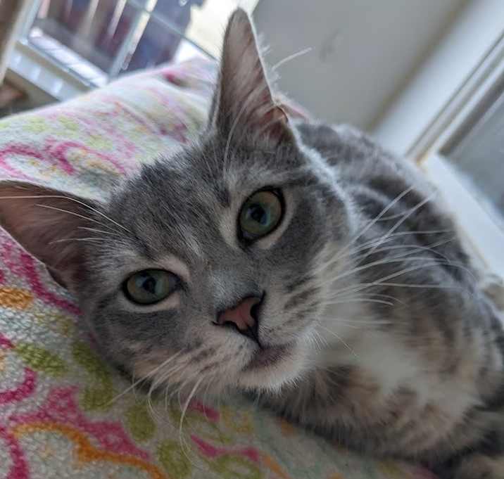 Photo of Benjamin (Benny)