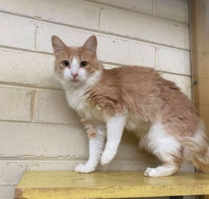 Photo of Gunther