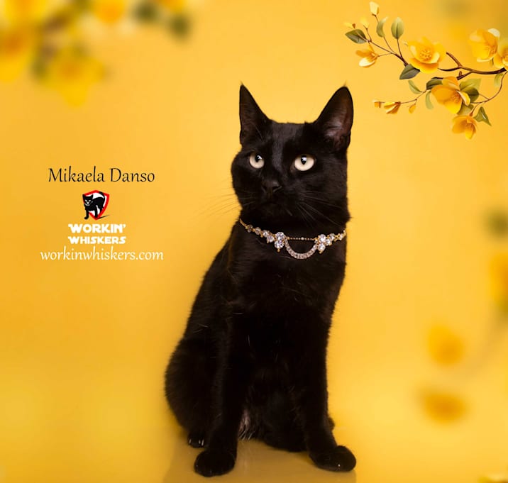 Photo of MIKAELA DANSO