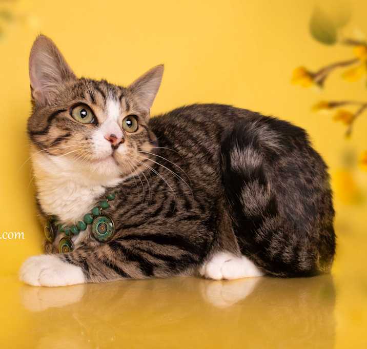 Photo of BELLA MAE