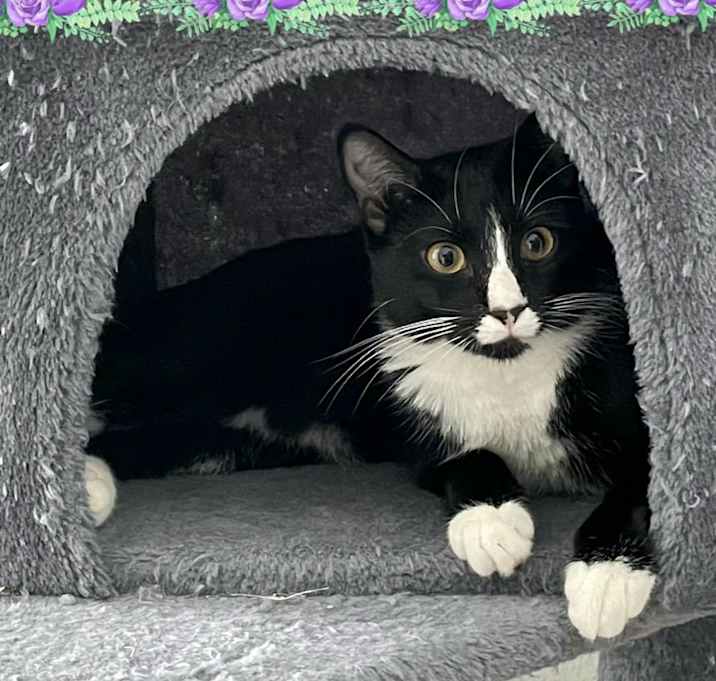Photo of Maia
