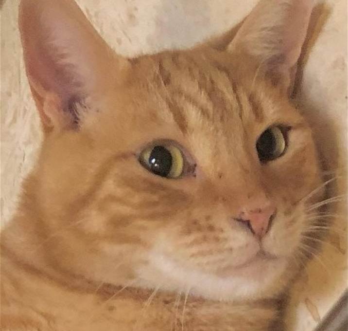 Photo of TEDDY