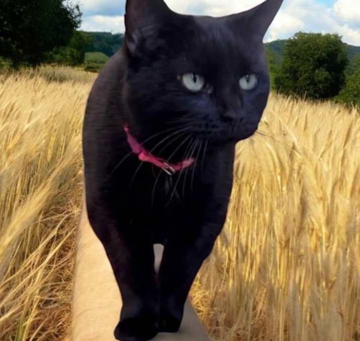 Photo of Erica