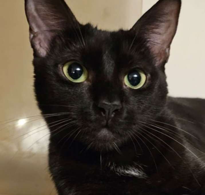 Photo of Madeline