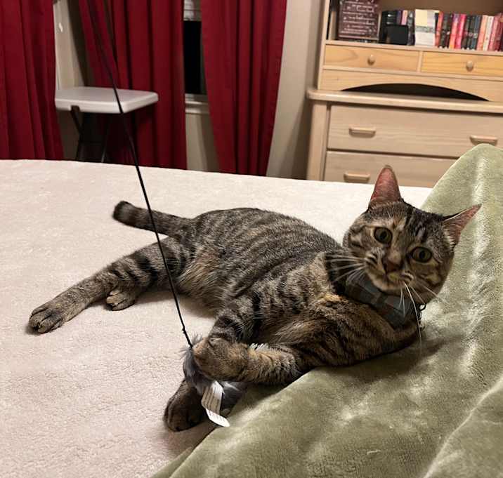 Photo of Margo