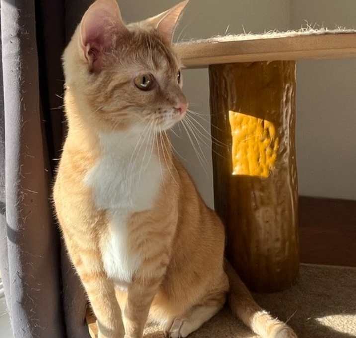 Photo of Clementine