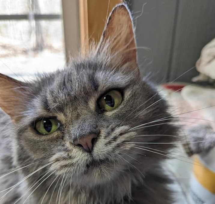 Photo of Martha