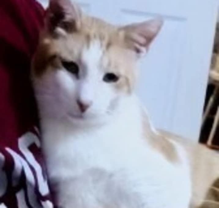 Photo of Marty (male)