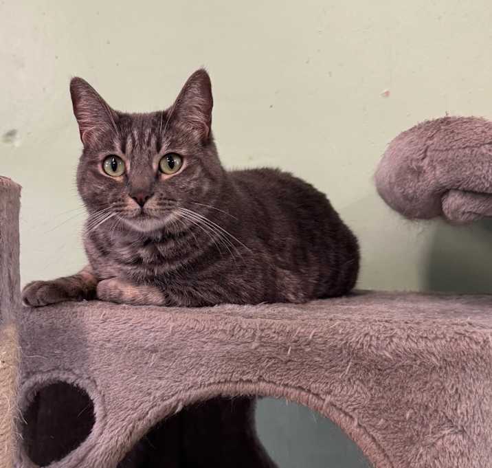 Photo of Princess