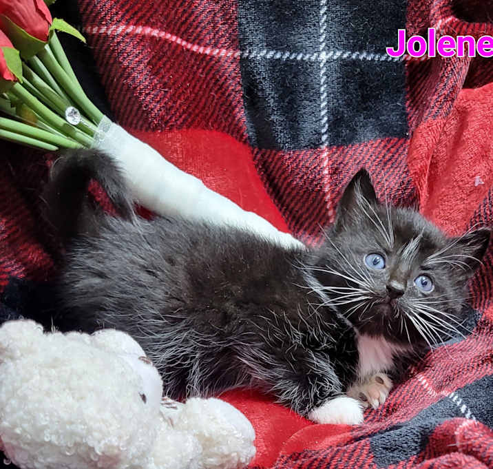 Photo of Jolene