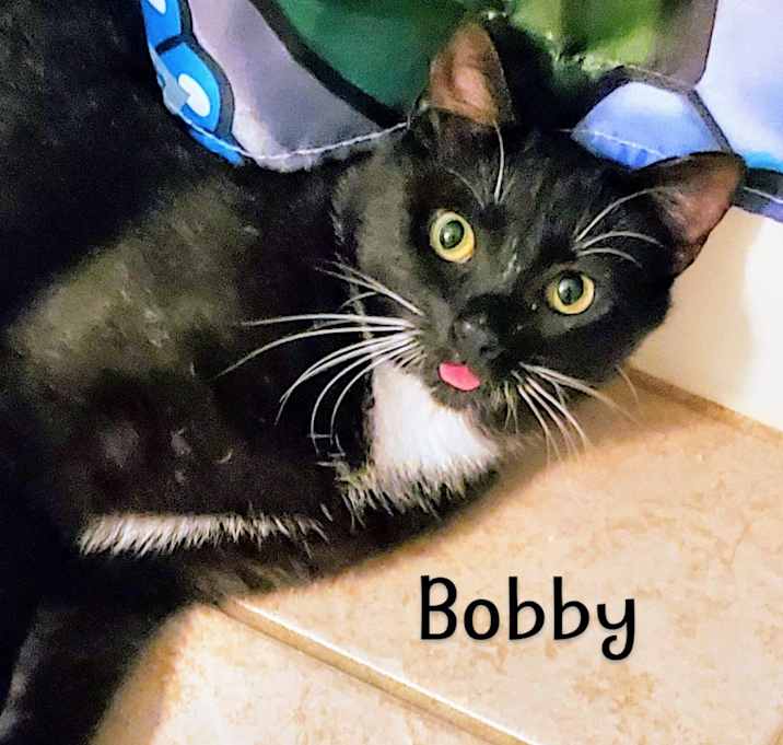 Photo of Bobby