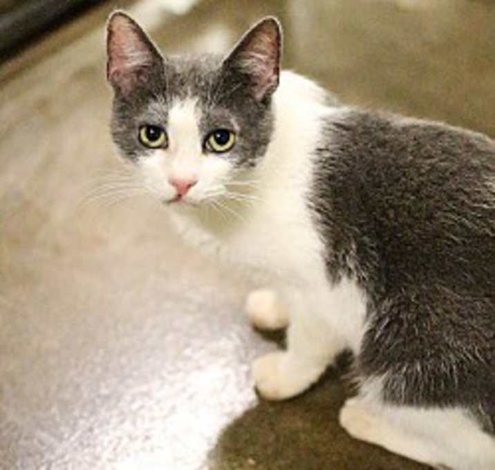 Photo of Dutchess