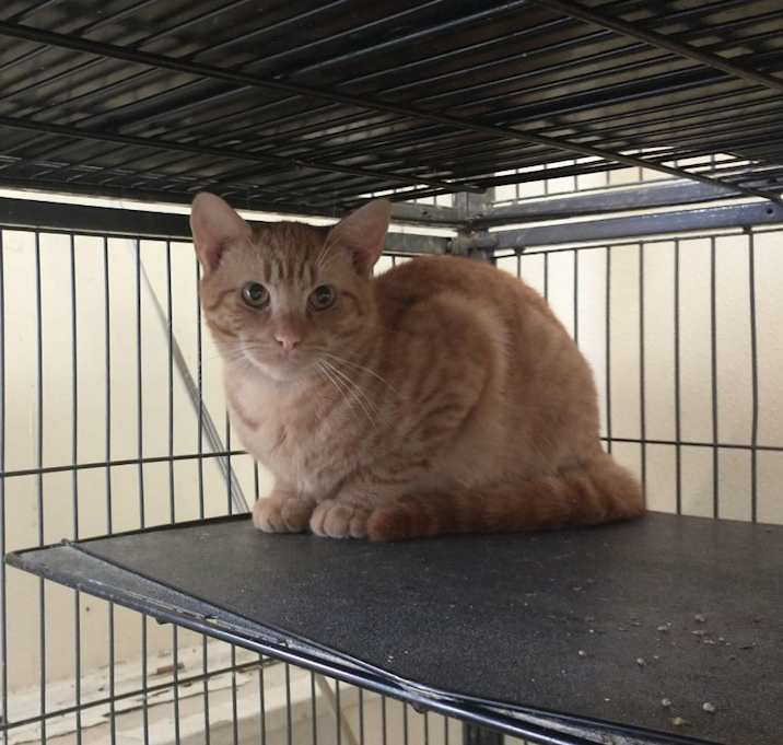 Photo of Tommy