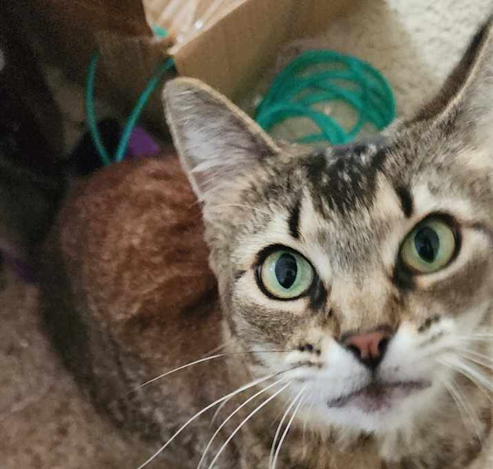 Photo of Mercy