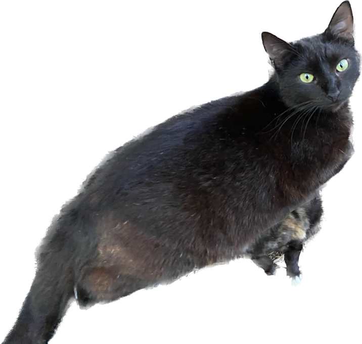 Photo of Sabrina