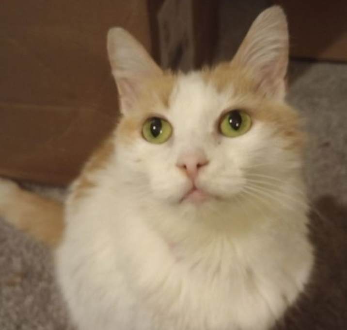 Photo of Polly