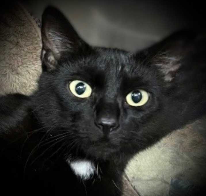 Photo of Parker