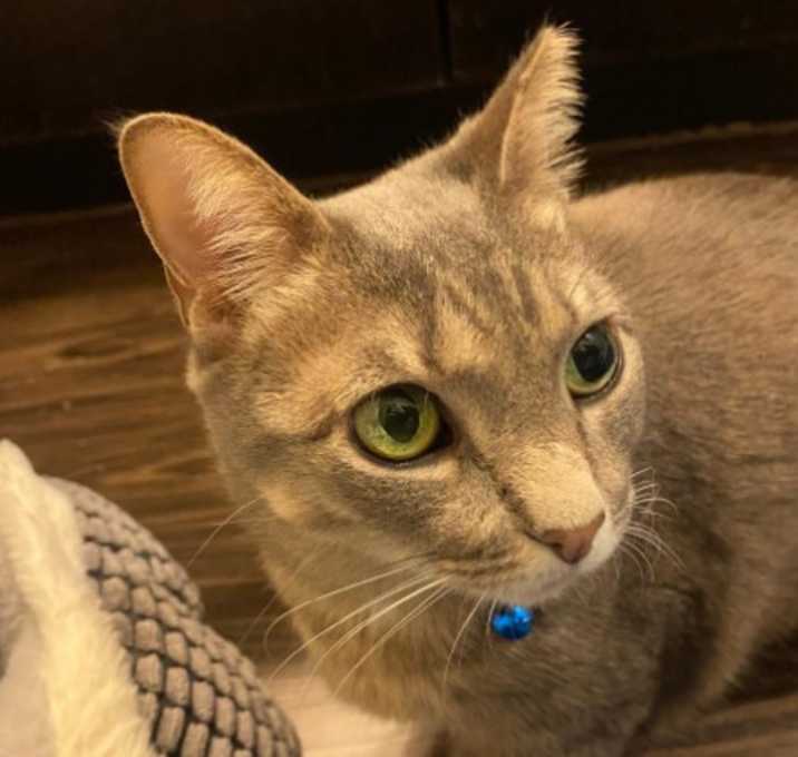 Photo of Zoe