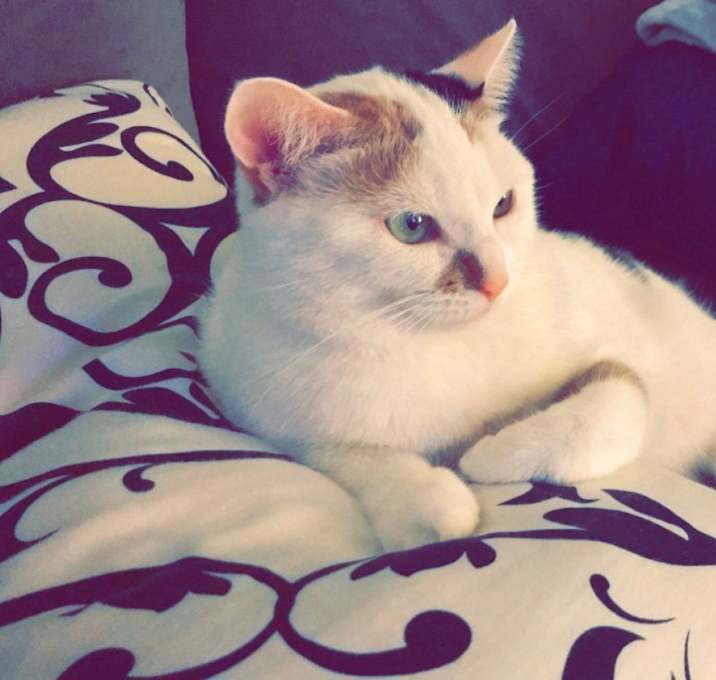 Photo of Bella