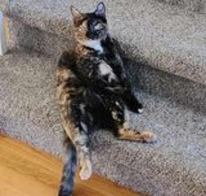 Photo of Mamma