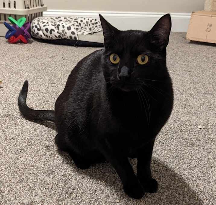 Photo of Magik