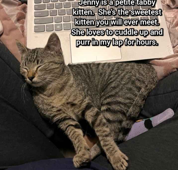 Photo of Jenny