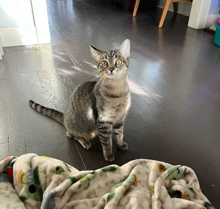 Photo of Bingo