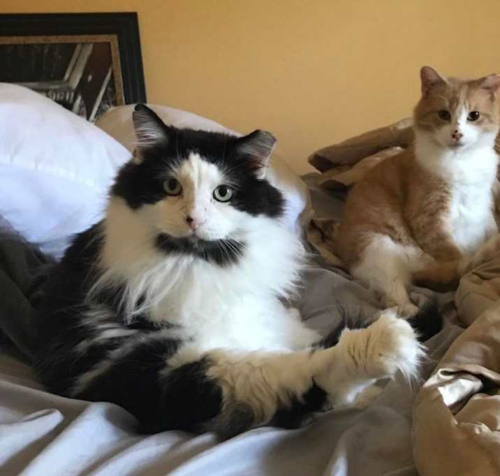 Photo of Bozz, & LJ **