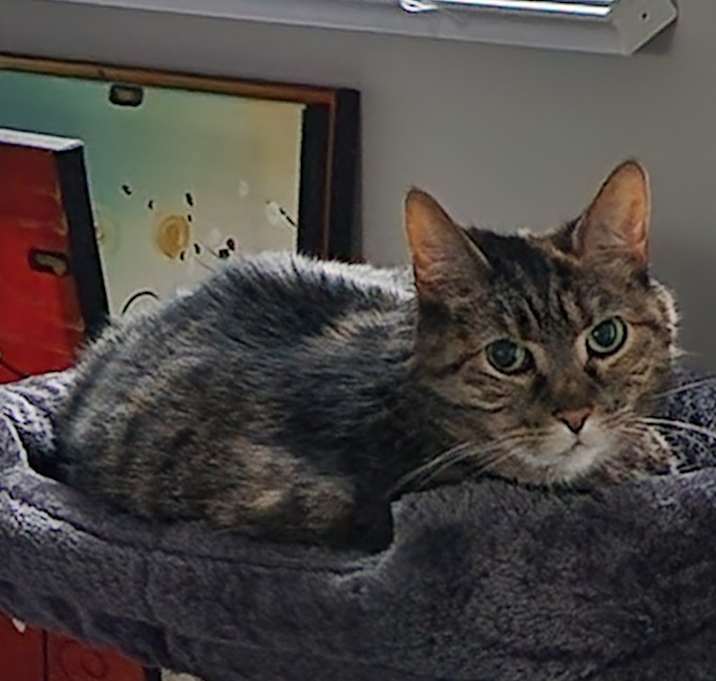 Photo of Maru