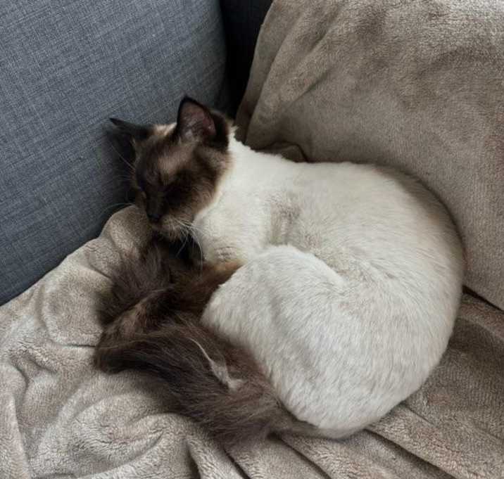 Photo of Sophie
