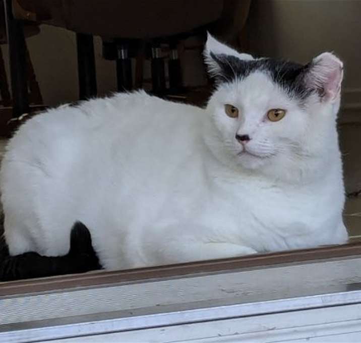 Photo of Junior