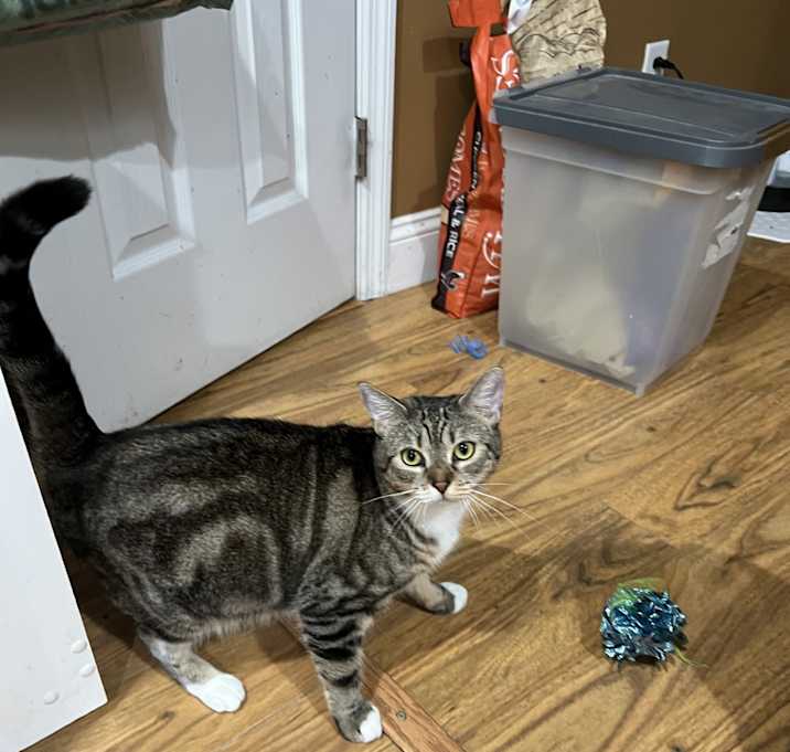 Photo of April