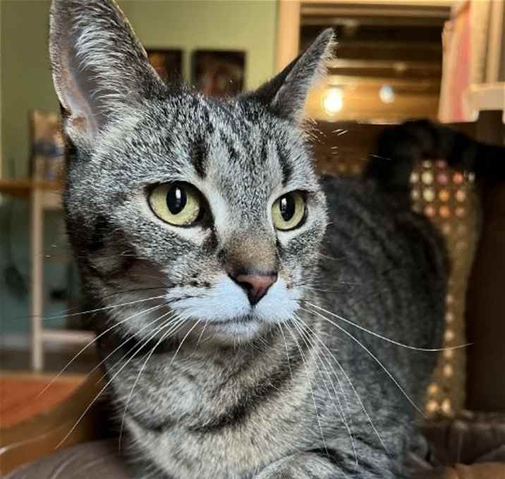 Photo of Ruthie (I Litter)