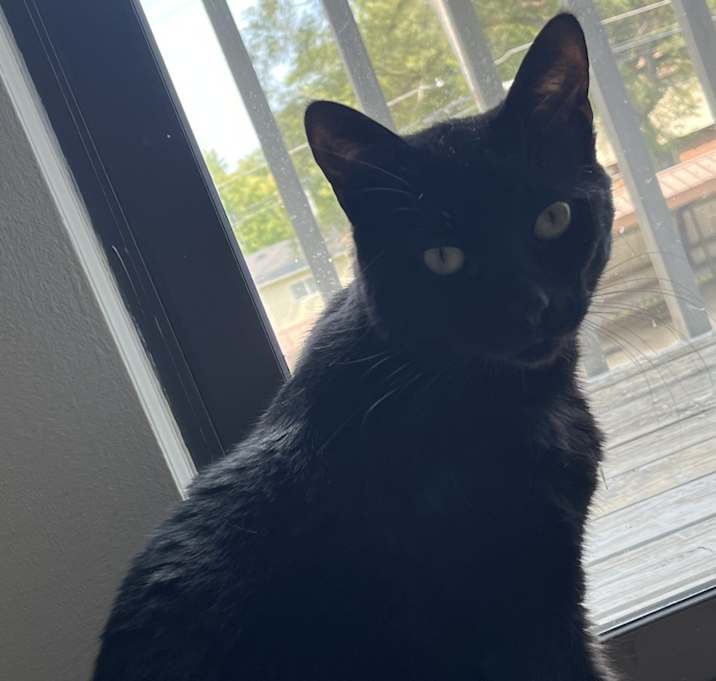 Photo of Mickey