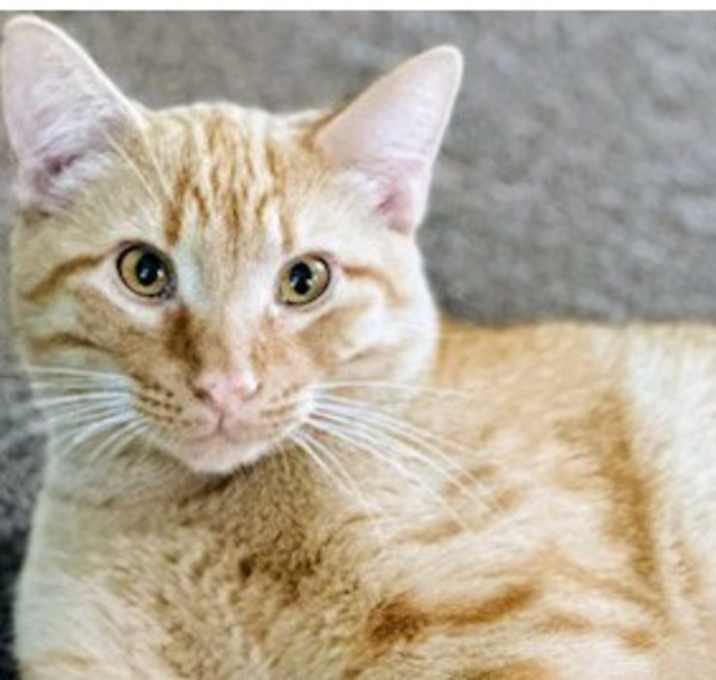 Photo of 6635 Prince