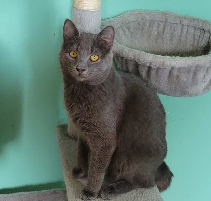 Photo of Kira