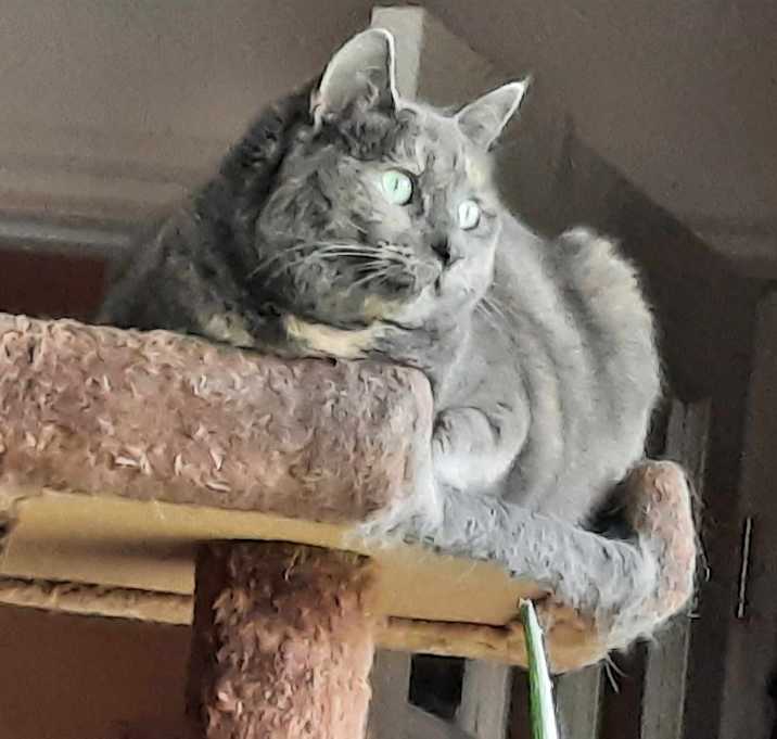 Photo of Sophie