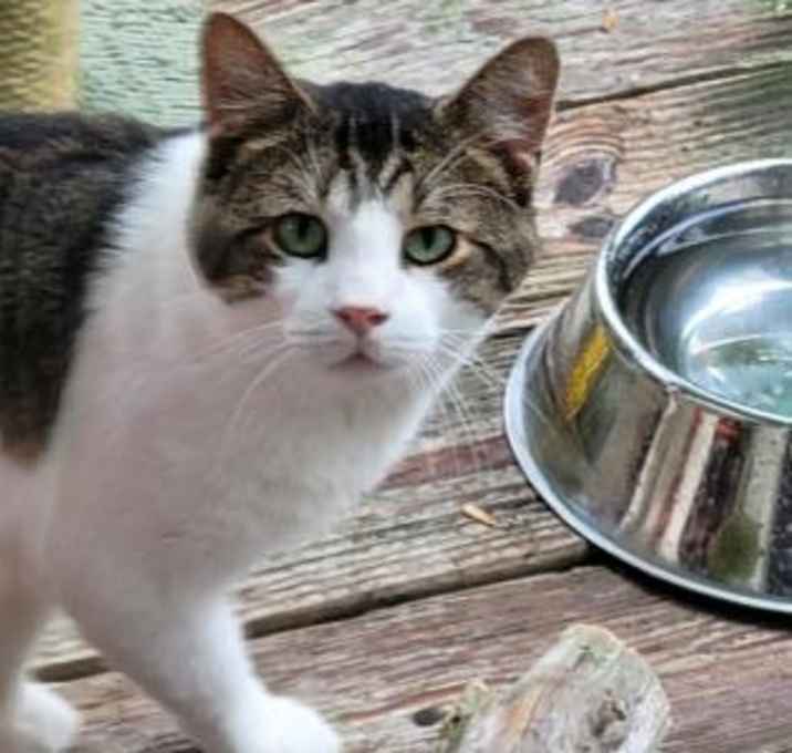 Photo of Calvin
