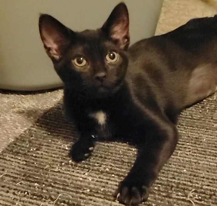 Photo of Winnie